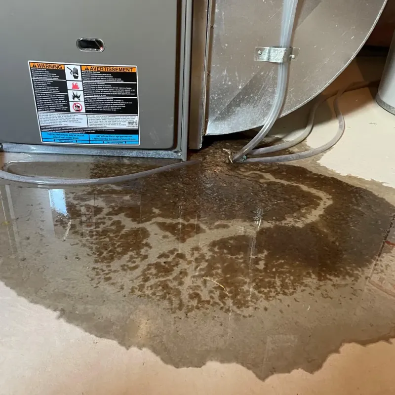 Appliance Leak Cleanup in Gulf Park Estates, MS